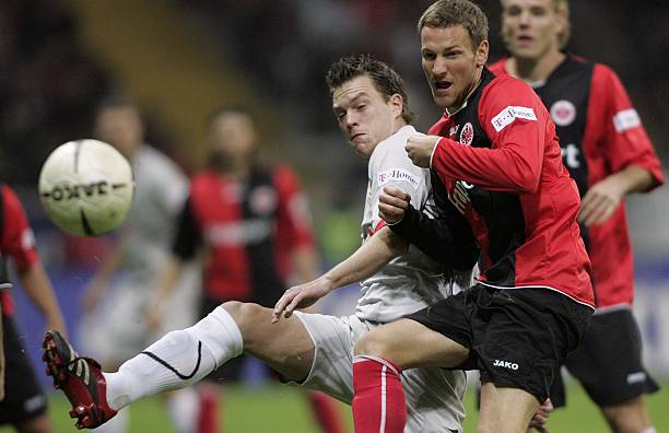 阵容的年轻 阵容的年轻