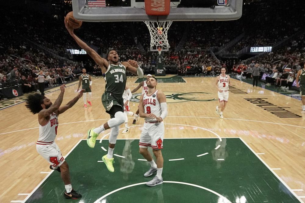 首页专门设 首页专门设