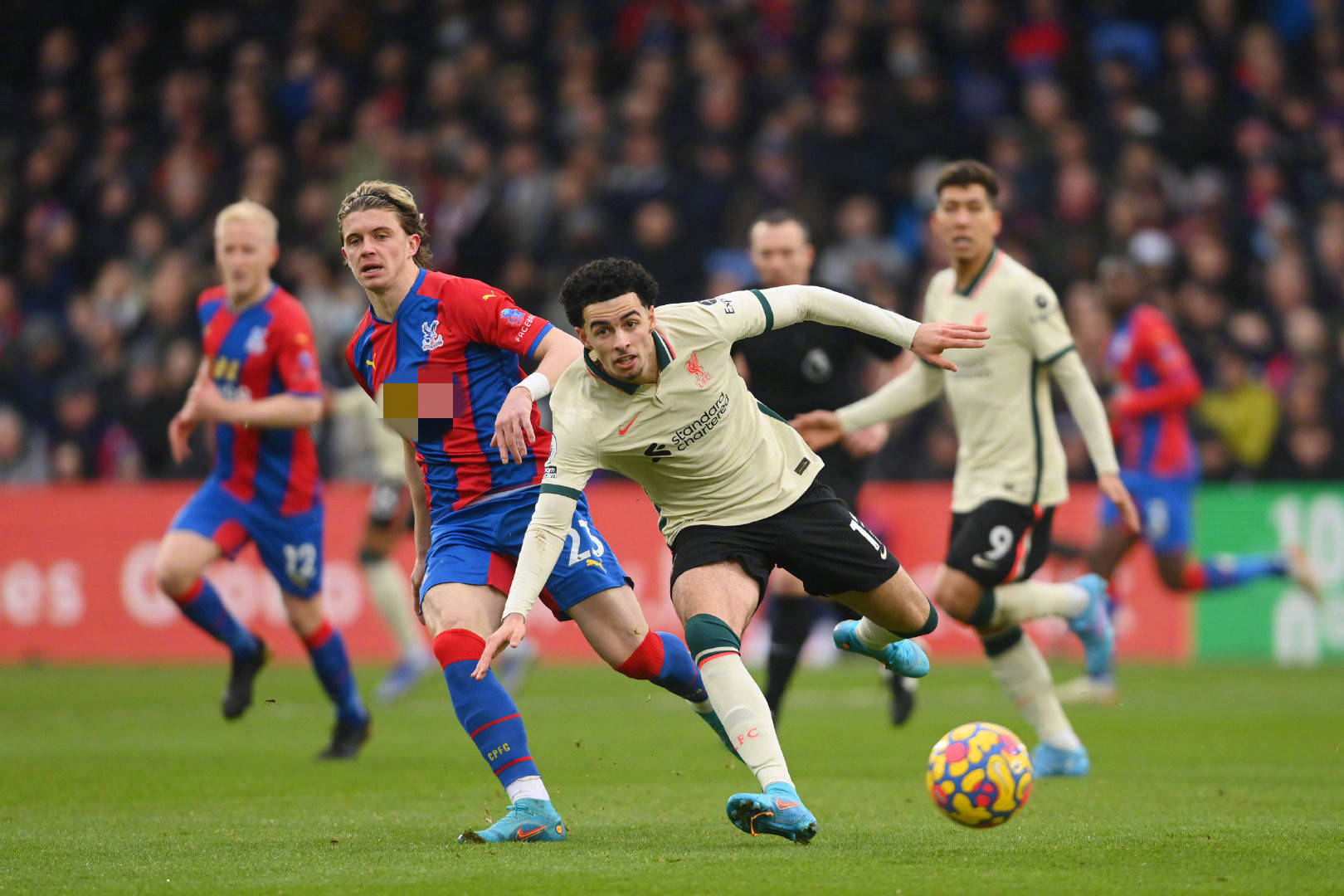 特德斯科 特德斯科